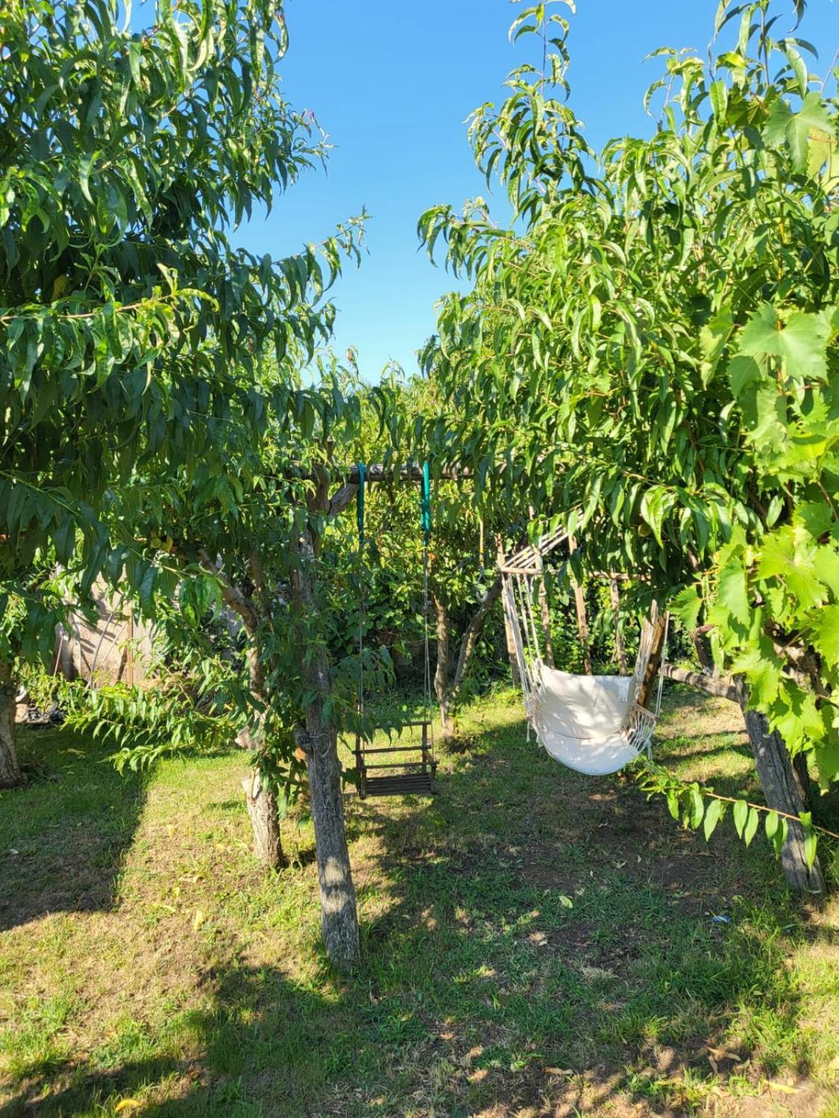 Vila Hipo Венус Экстерьер фото